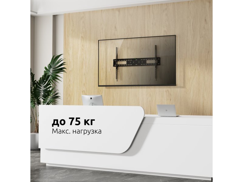 Uniteki FN1610 Pro Line в интерьере офиса &mdash; демонстрация монтажа с нагрузкой до 75 кг на деревянную стену