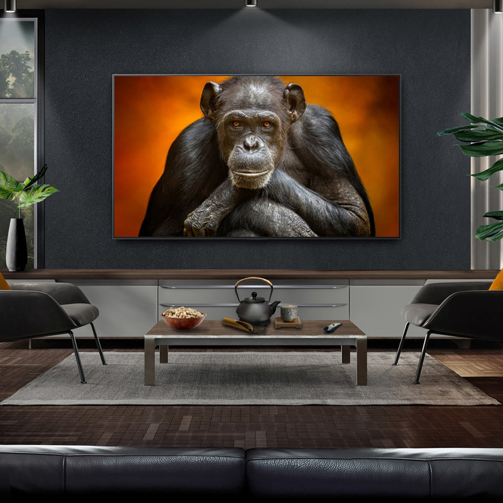 LG OLED65G5 EU &mdash; установка вплотную к стене в гостиной в стиле Gallery