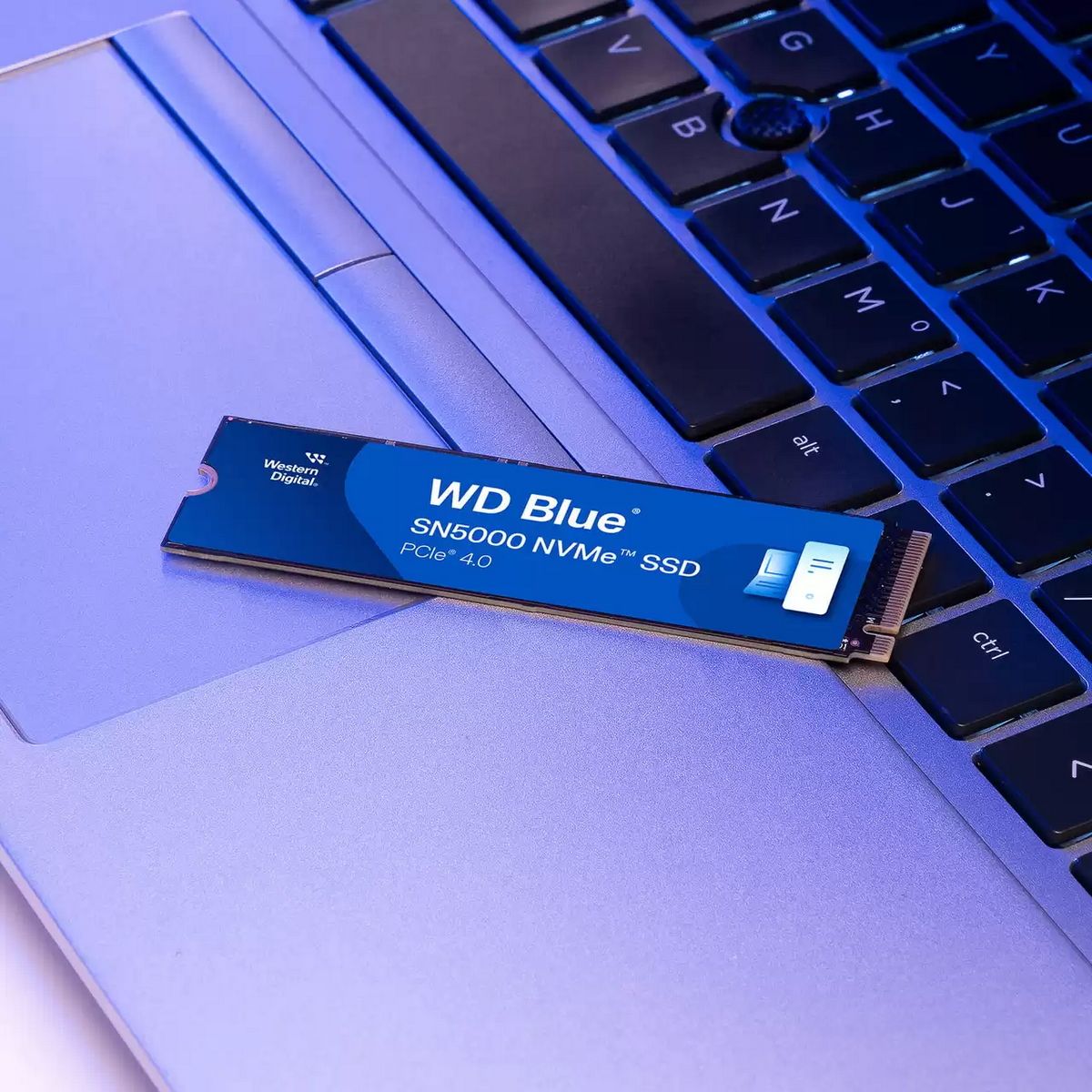 Western Digital SN5000 1 ТБ NVMe SSD M.2 2280 на фоне ноутбука с подсветкой клавиатуры