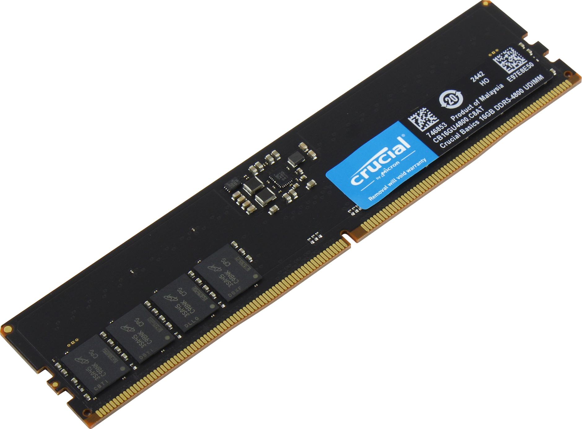 Crucial Basics Desktop CB16GU4800 DDR5 — модуль памяти вид сверху, микросхемы и логотип бренда
