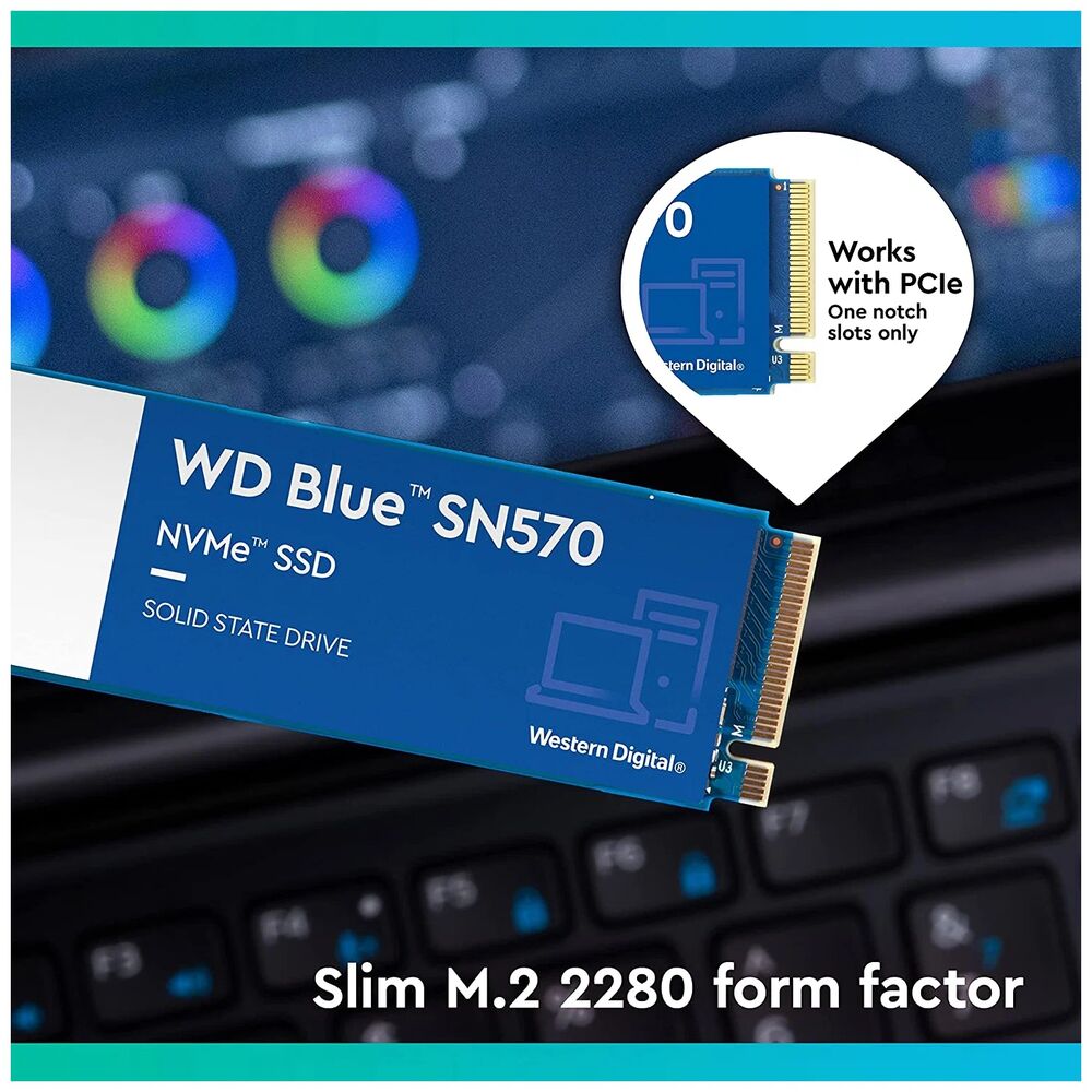 Western Digital WD Blue SN570 500 ГБ M.2 2280 NVMe PCIe 3.0 x4 — вид накопителя с золотыми контактами